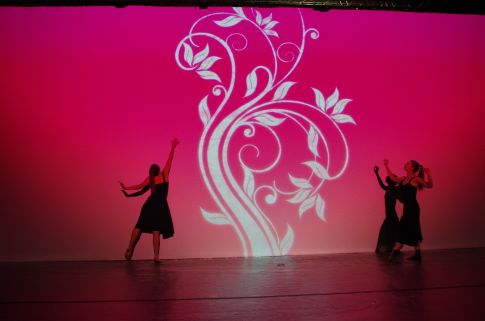 Danse digitales et Mapping RSE IA