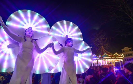 Échassiers lumineux