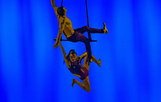 Trapèze aérien 
